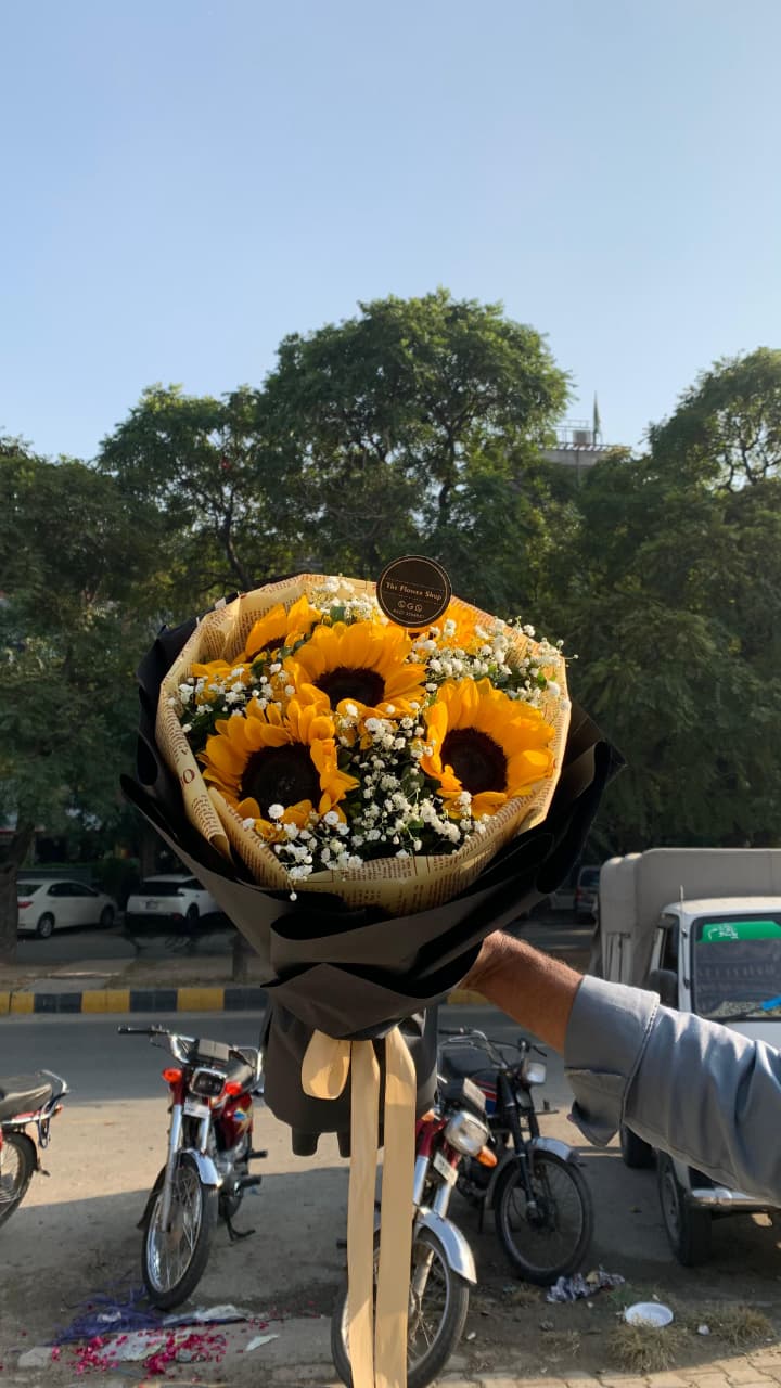Aurora Sunflower Petals