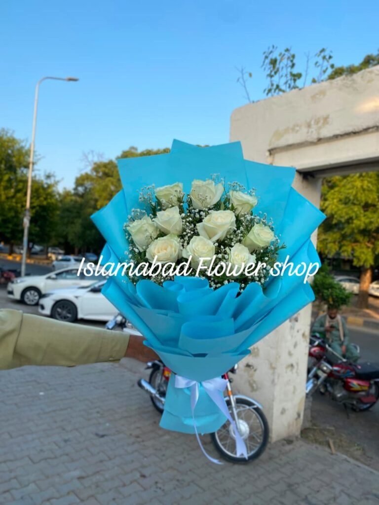 WhatsApp Image 2026-06-28 at 2.05